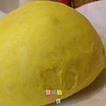 IMAG7450.jpg