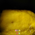 IMAG7484.jpg