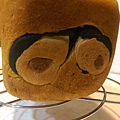 IMAG7555.jpg