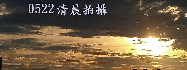 0522碗蓮綻放(花苞3)