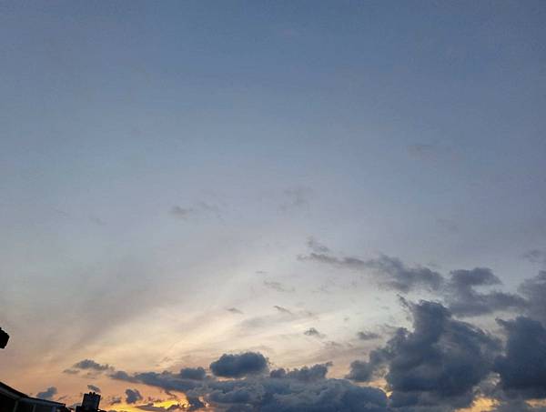 0620清晨拍攝(可愛狗狗ㄛ)