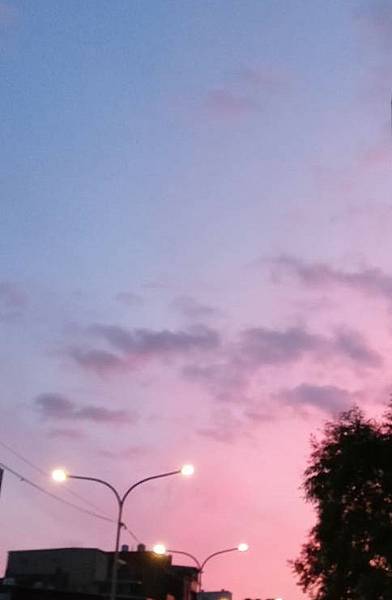 0620清晨拍攝(可愛狗狗ㄛ)