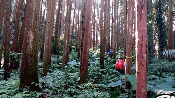 IMG_20140927_084608 (640x360).jpg