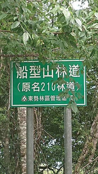 DSC_4223.JPG DSC_4223.JPG