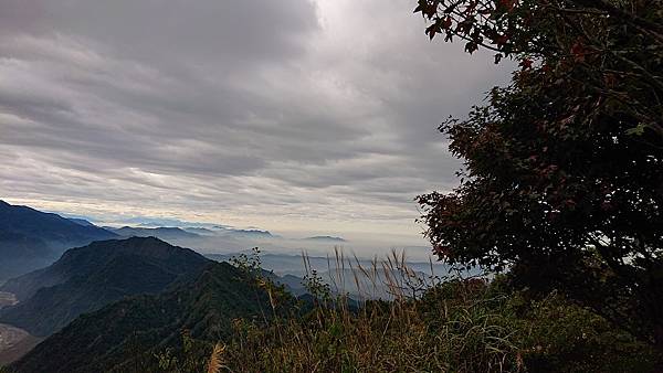 DSC_5346.jpg DSC_5346.jpg