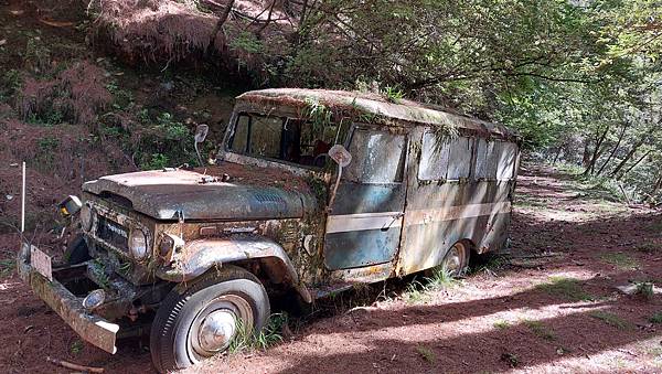 郡大林道59.5K.傳說中的龍貓公車2022.06.18~1 郡大林道59.5K.傳說中的龍貓公車2022.06.18~1