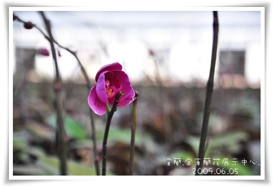 2009/06/05-宜蘭