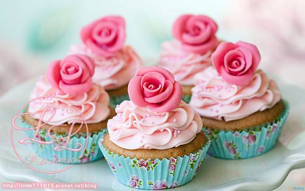 cupcakes cupcakes