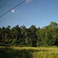 SN201305.JPG