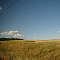 SN201308.JPG