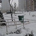 1.29 - 1.30 社區雪景 021 (2).jpg