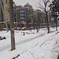 1.29 街道雪景 010.jpg