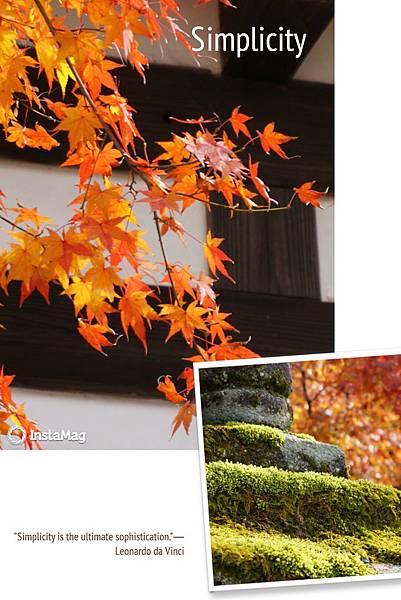日本紅葉季