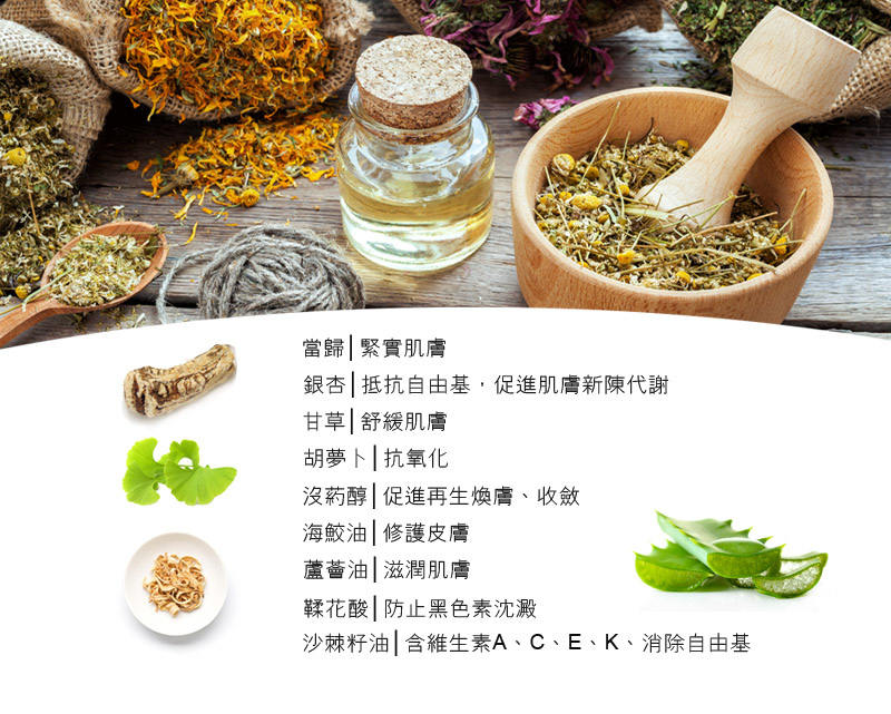 成分介紹 成分介紹
