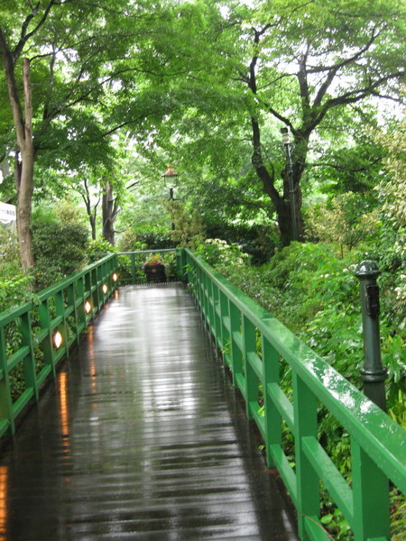 通網&quot;井之頭&quot;公園的路