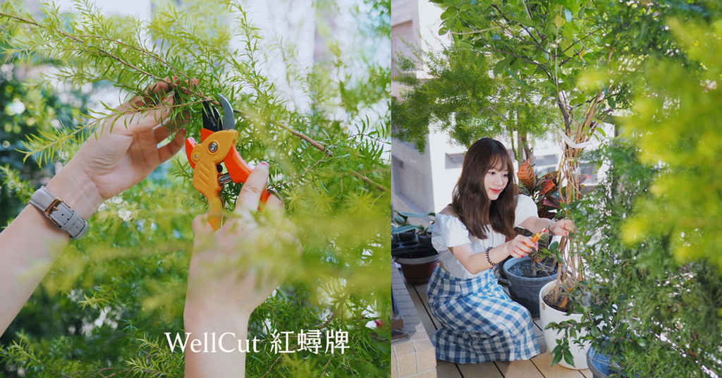  ⟪ WellCut 紅蟳牌 ⟫ 淑女修枝剪.jpg