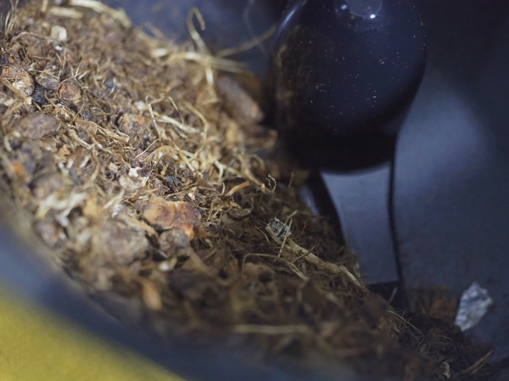 S__62881804.jpg 主婦夢幻小家電!廚餘居然可以變得比肉鬆還香!《SANSUI山水》智能熱烘除臭4L廚餘機開箱