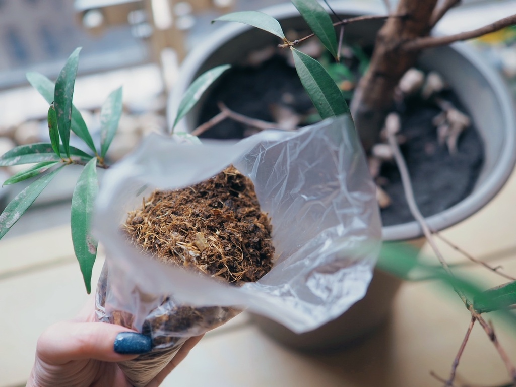 S__62881810.jpg 主婦夢幻小家電!廚餘居然可以變得比肉鬆還香!《SANSUI山水》智能熱烘除臭4L廚餘機開箱