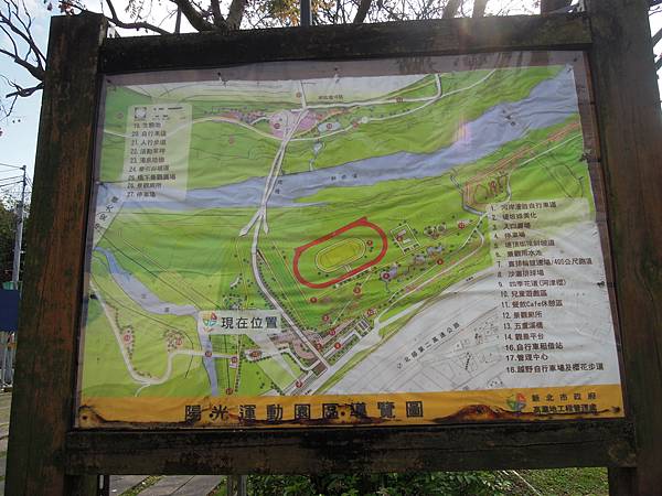 新店陽光運動公園親子遊及賞櫻趣