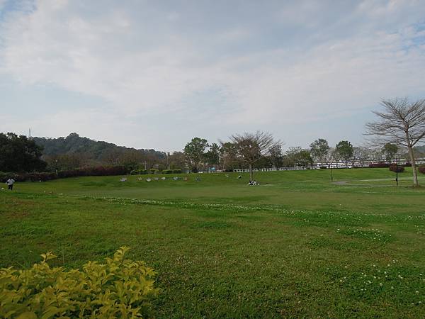 新店陽光運動公園親子遊及賞櫻趣