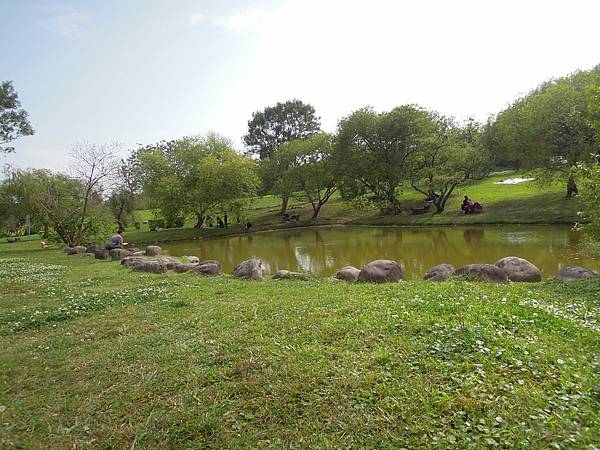 新店陽光運動公園親子遊及賞櫻趣