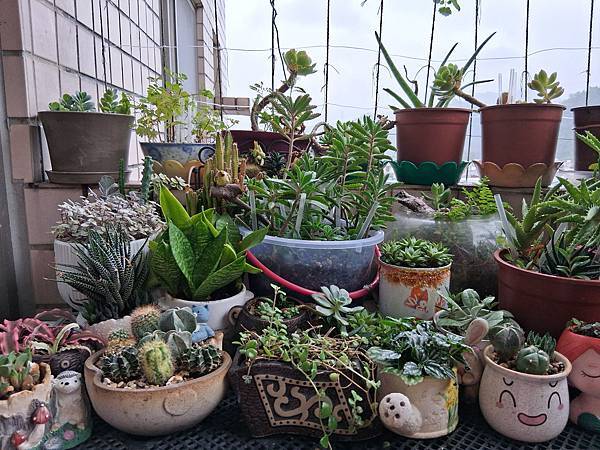 康芮颱風登陸的前一天