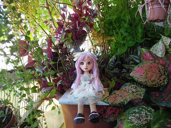 阿萌娃娃4.2完成版