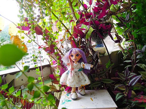 小小娃魔莉4.2終級完成版