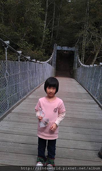IMAG0716