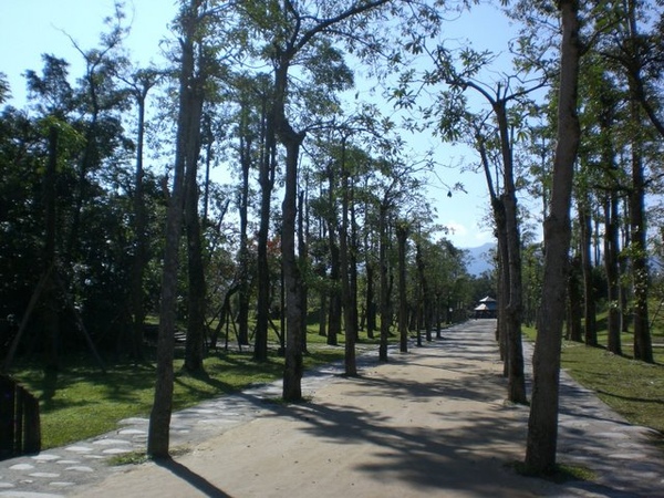 羅東運動公園