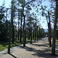 羅東運動公園