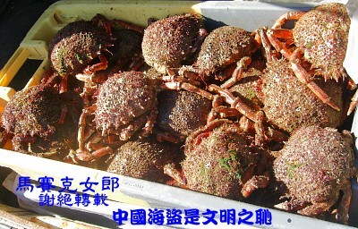 你吃過異形的怪手嗎 10 法國行旅 馬賽克女郎 痞客邦