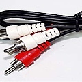 2RCA 對 2RCA 音響線.JPG