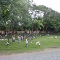 201106131229.jpg