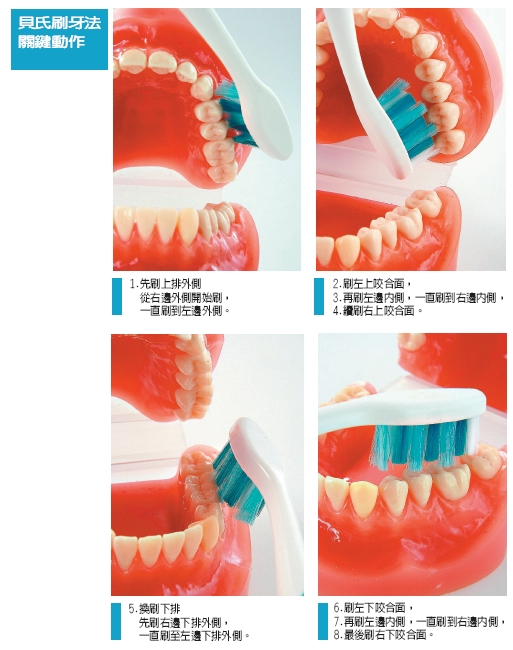 貝氏刷牙.jpg