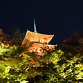 清水寺夜04.JPG