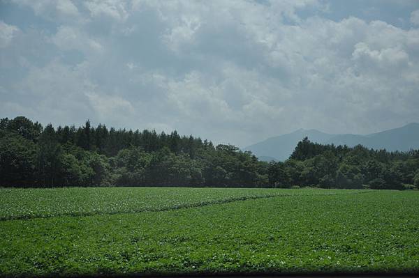 北海道十四天露營