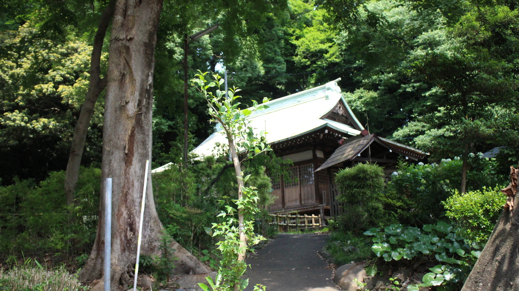 103.06.16深大寺 (188).JPG