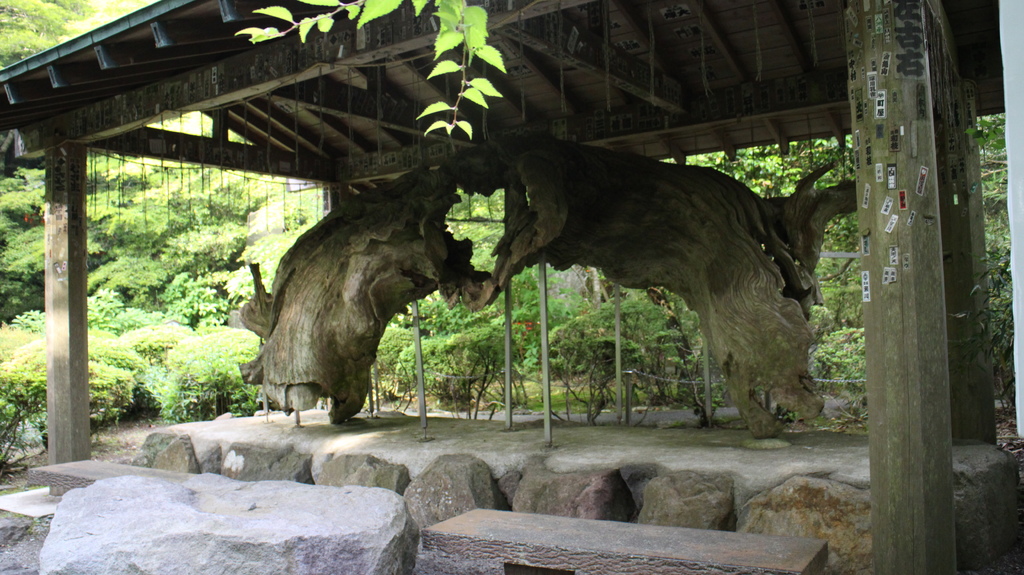 103.06.16箱根神社 (91).JPG