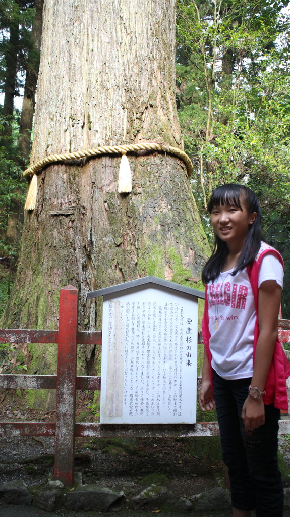 103.06.16箱根神社 (62).JPG