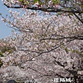 DSC04058-拷貝.jpg