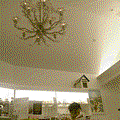 DVC00055.gif