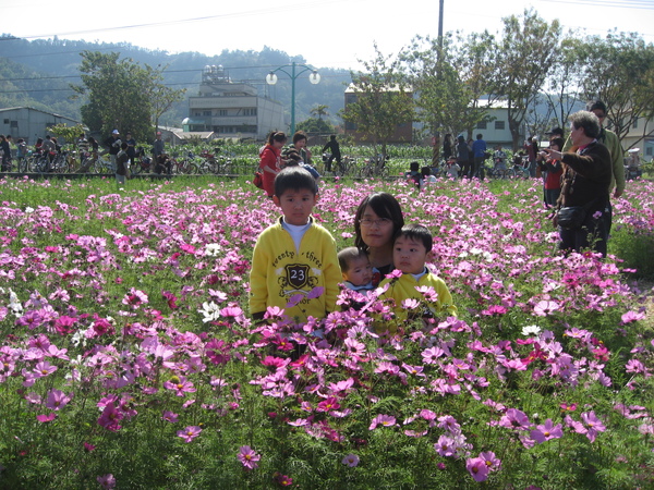 IMG_4703后里鐵馬道的花圃 mama與三個寶貝兒子.JPG