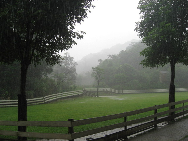 IMG_8172-可愛咩咩區 濛濛細雨.JPG