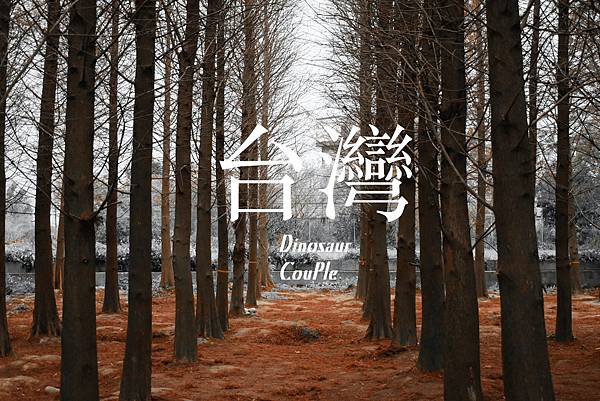 ED7E9D97-33E5-4B59-AC47-B87B1A9C583E 2