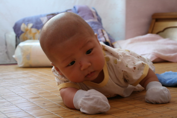 20081016junior3個月大081.jpg