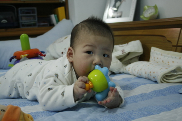 20090102junior6個月大 030.jpg