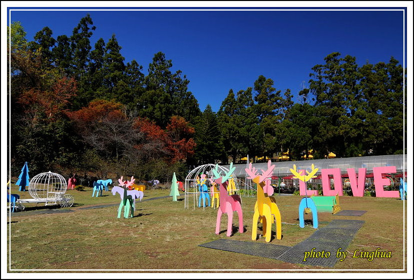 2013美麗清境(18).JPG 2013美麗清境(18).JPG