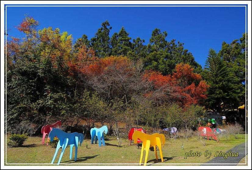 2013美麗清境(19).JPG 2013美麗清境(19).JPG