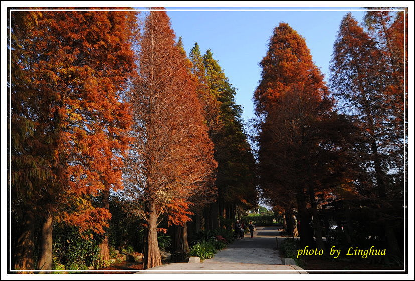 2014菁芳園(1).JPG 2014菁芳園(1).JPG